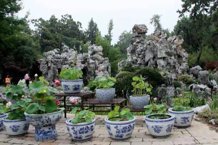 莫愁湖遊記
